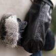 Women's mittens lined with rabbit fur BLACK